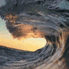 Little Wave 🌊
