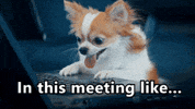 Zoom meeting