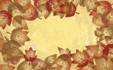 #ThankfulThursday 🍁