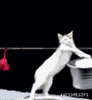 Confession: my win is laundry…