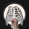 Today's Restoration Lab- The Rib Cage