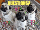 💬 Q&A Time — Ask Me Anything!