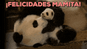 Happy Mother’s Day!