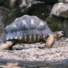 What slowing down actually looks like...