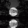 This Week’s Cosmic Gateway: Transformation, Release, and Renewal