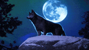 Full Moon in Aries ♈️ 