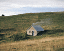 What is your DREAM house?