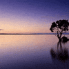 Why NLP and Hypnosis Flatline (Even When You Do Everything Right)