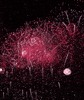 Fireworks! 🎆🎇 | Question of the Day