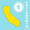 CA wholesalers!