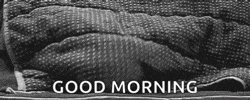 🌞 Good morning everyone!