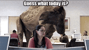 Happy Hump Day!