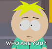 Who are you? Introduce yourself!