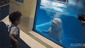 Post Your Breath Hold (Week 34: August 18th 2025 - August 24th 2025)