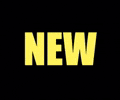 NEWBIE MEMBER