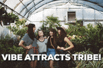 Your vibe attracts your tribe