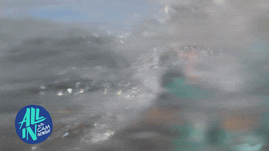 GIF from GIPHY