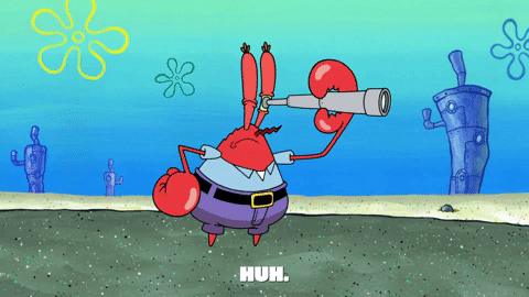 GIF from GIPHY