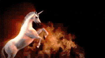 happy birthday GIF