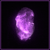 loop render GIF by xponentialdesign