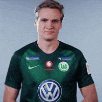 fifa 18 football GIF by VfL Wolfsburg