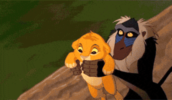Throwing The Lion King GIF