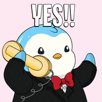 Hell Yeah Yes GIF by Pudgy Penguins