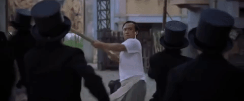 kung fu GIF