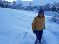 Deep Snow GIF