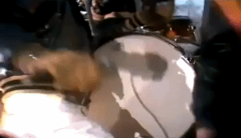 we will rock you queen GIF