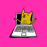 Cat Video GIF by Kochstrasse™