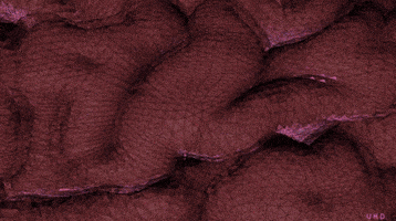 mind uwe heine GIF by Uwe Heine Debrodt