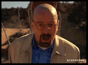 Giphy - walter white greyhound GIF