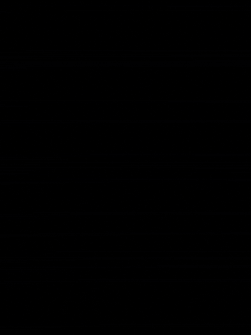 Giphy - Cat Laughing GIF