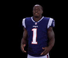 sony michel football GIF by NFL