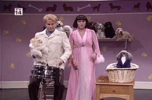 will ferrell snl GIF by Saturday Night Live