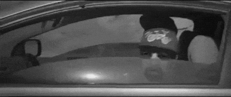 sub pop middle finger GIF by Clipping.