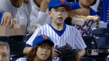 major league baseball sport GIF by MLB