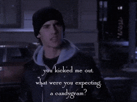 season 4 netflix GIF by Gilmore Girls 