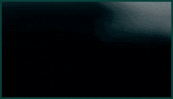 Philadelphia Eagles GIF