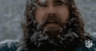 philadelphia eagles GIF by NFL