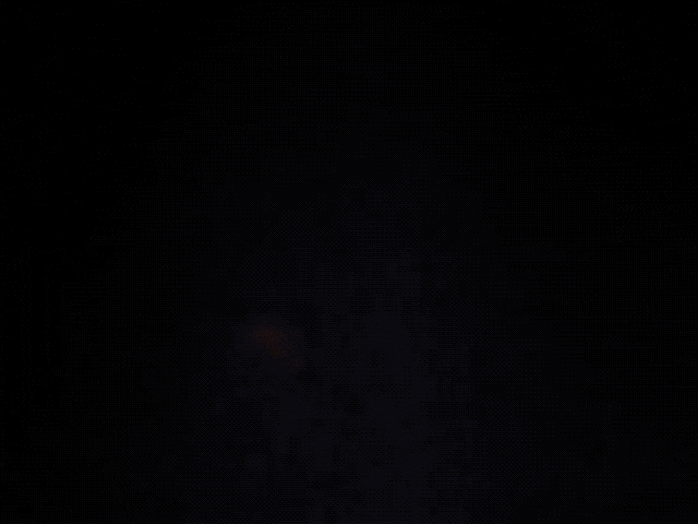 attack of the killer tomatoes coolidge after midnite GIF by Coolidge Corner Theatre