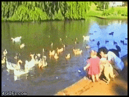 kid fail GIF