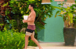 GIF by BachelorInParadiseAU