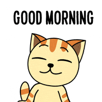 Happy Good Morning GIF by JPedicini