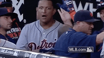 Happy Major League Baseball GIF by Detroit Tigers