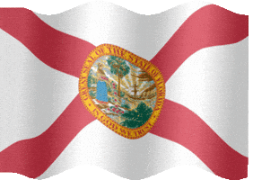 state flag florida GIF