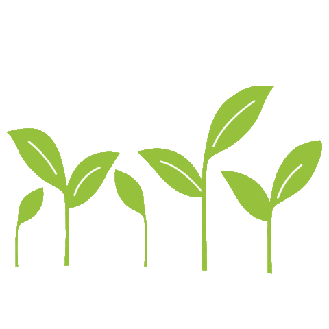 An animated image of 13