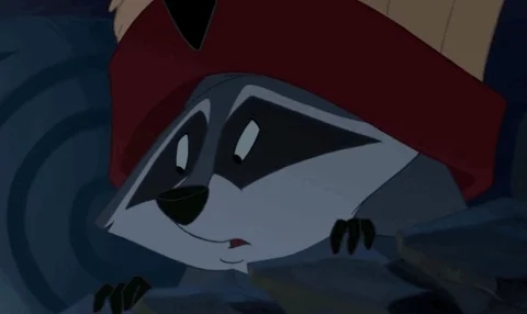 No Way Raccoon GIF