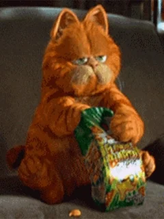 Cat Eating GIF